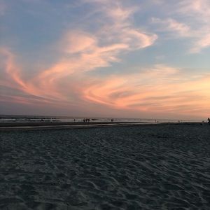 Meet your Posher, Judy